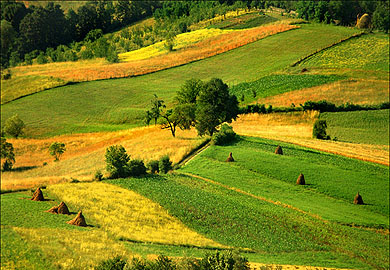 sumadija